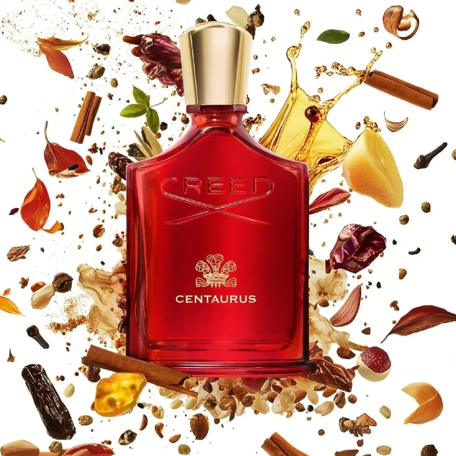 Creed Centaurus 3.3 Edp M