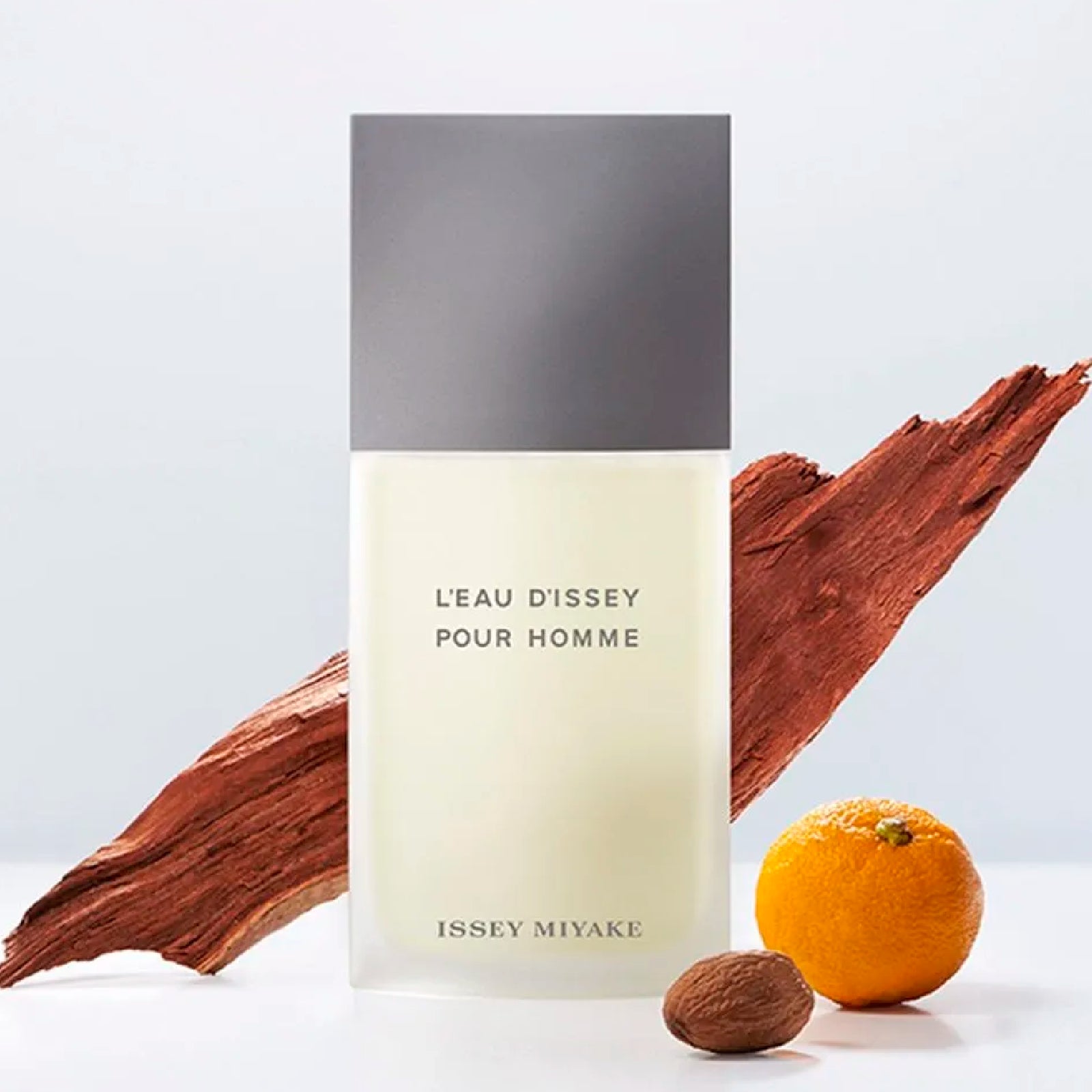 Issey Miyake L'Eau d'Issey 2.5 Edt M