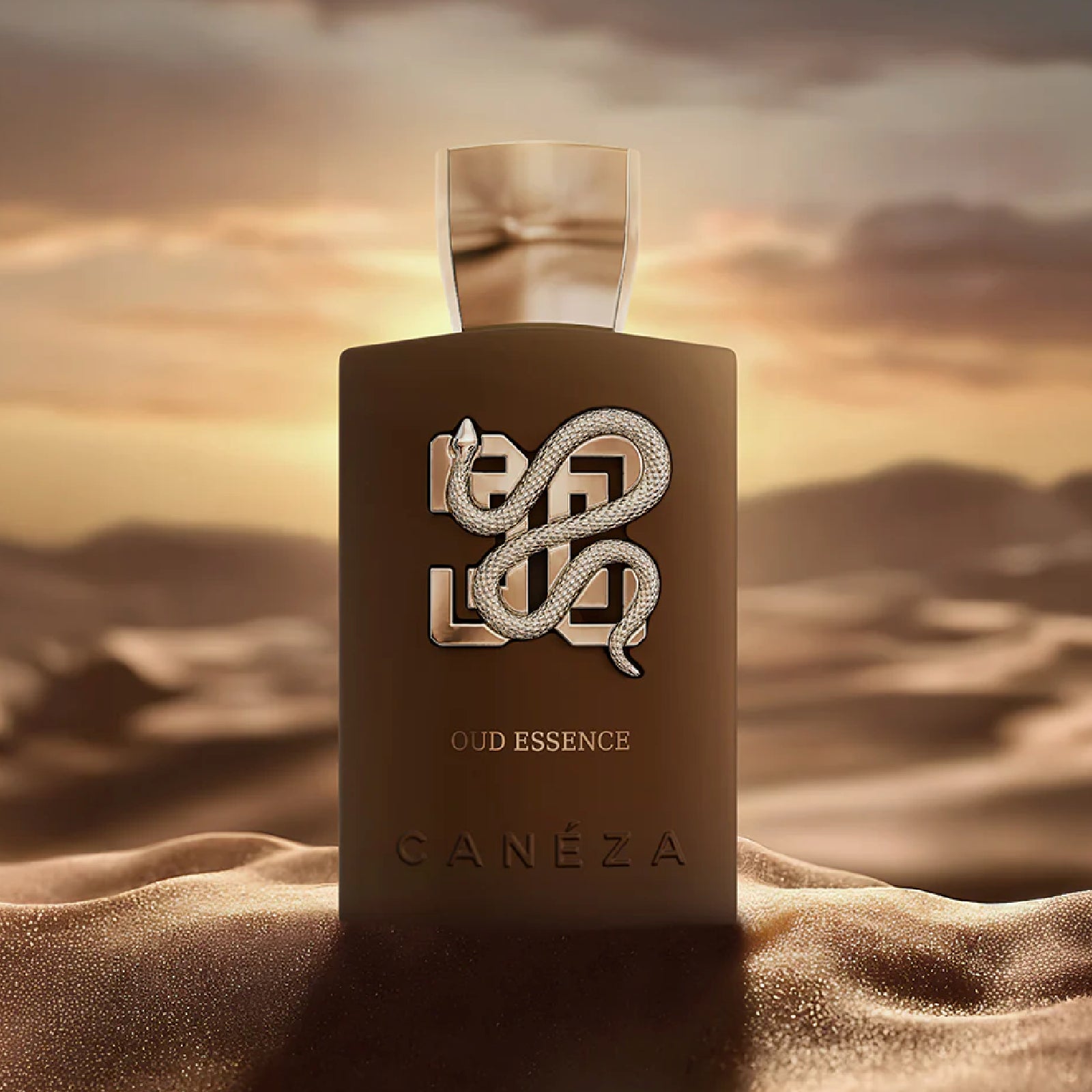 Caneza Ugo Essence 3.4 Edp M