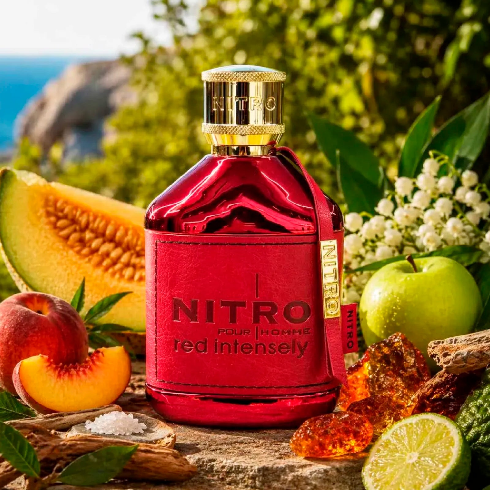 Dumont Nitro Red Intensely 3.4 Edp M