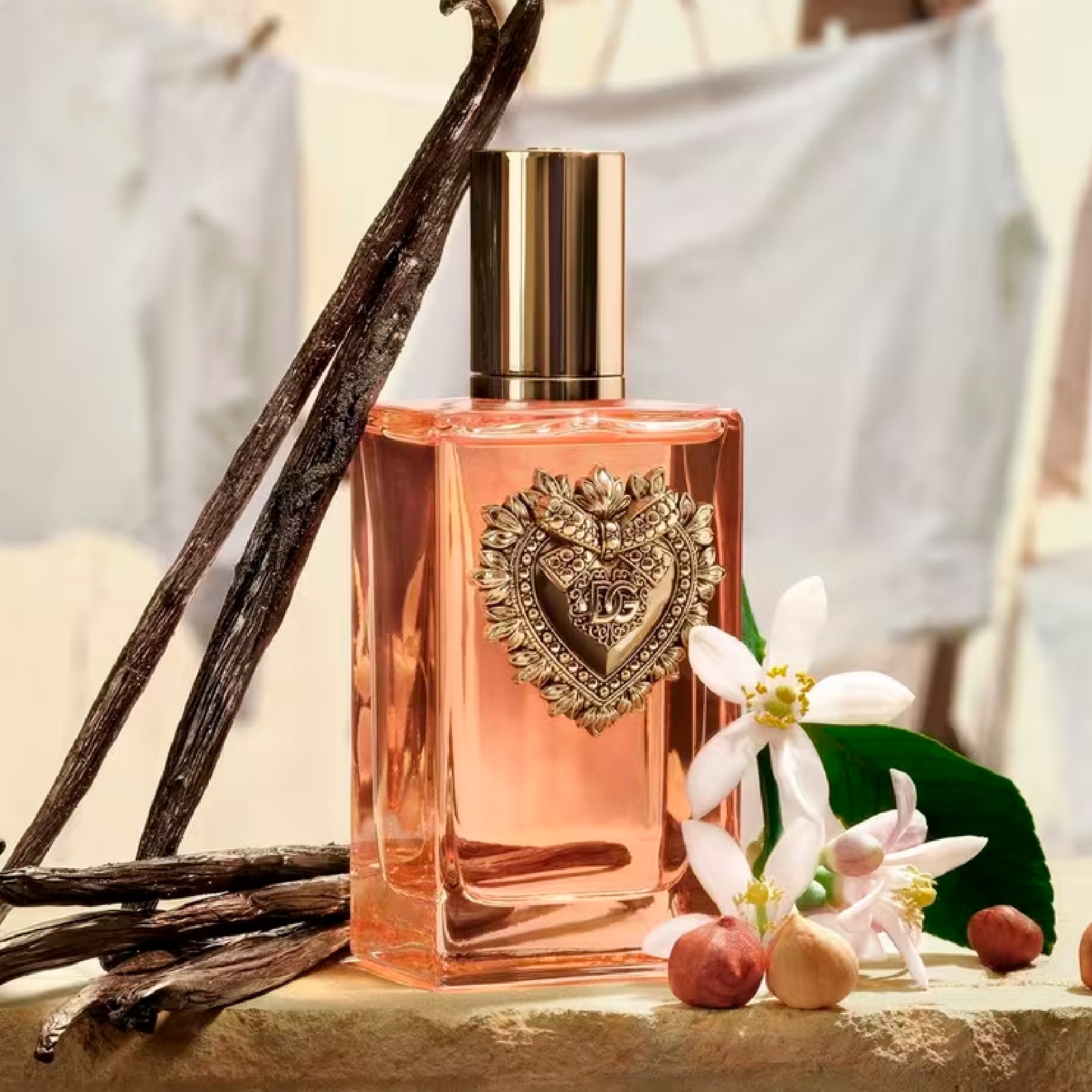 Dolce Gabbana Devotion 3.3 Edp L