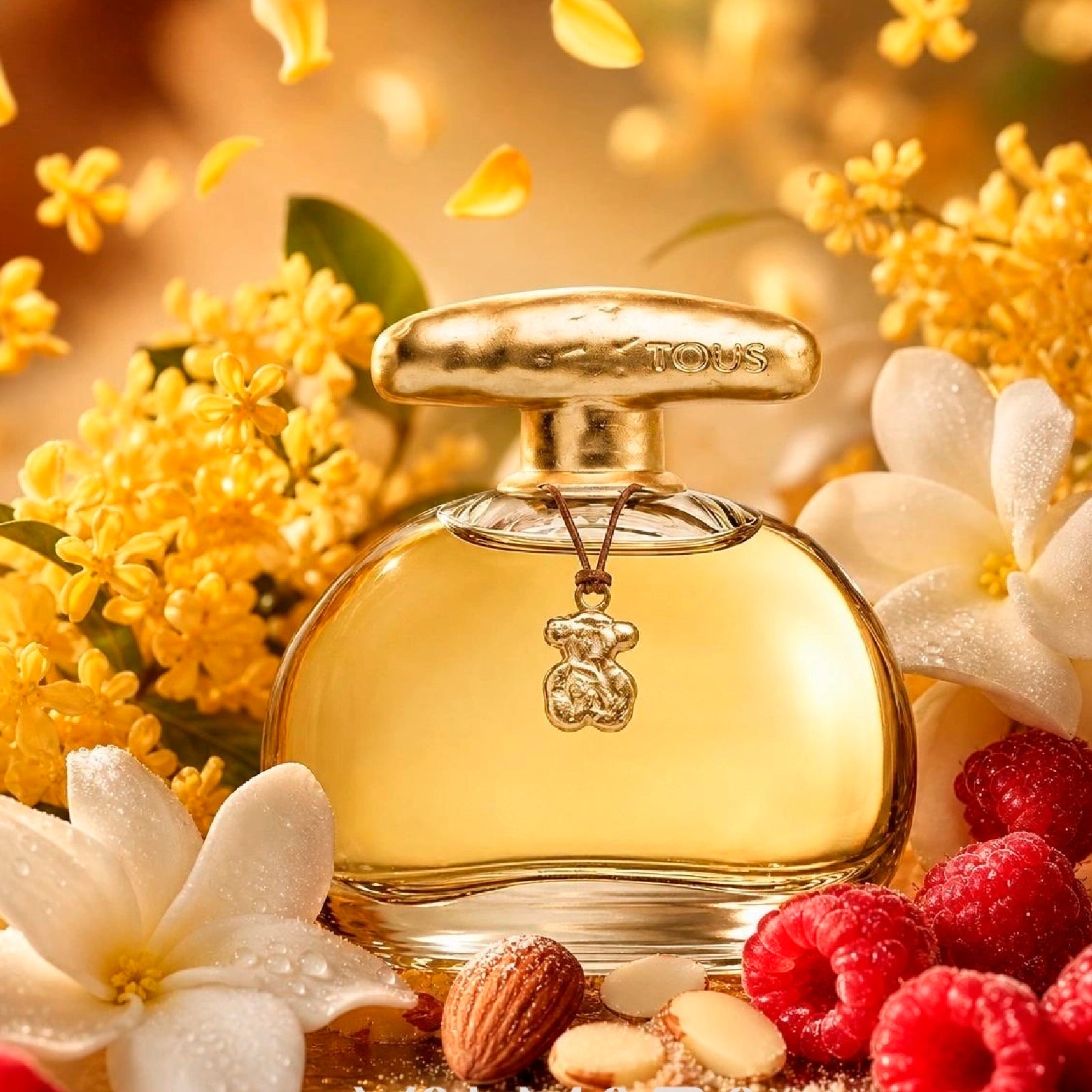 Tous Touch 3.4 Edt L