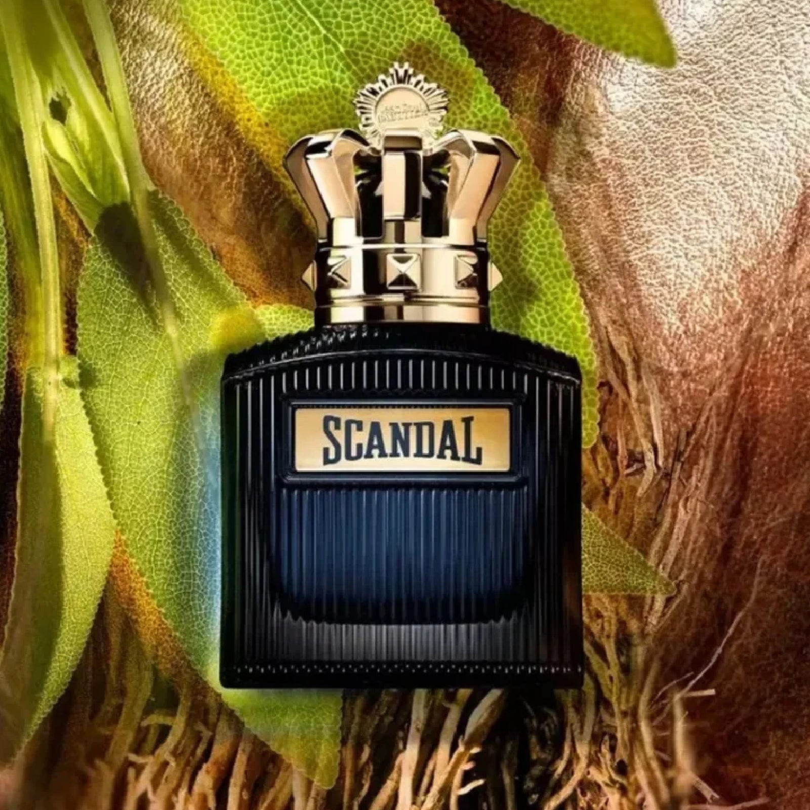 Jean Paul Gaultier Scandal Intense for Men 3.4 Edp M