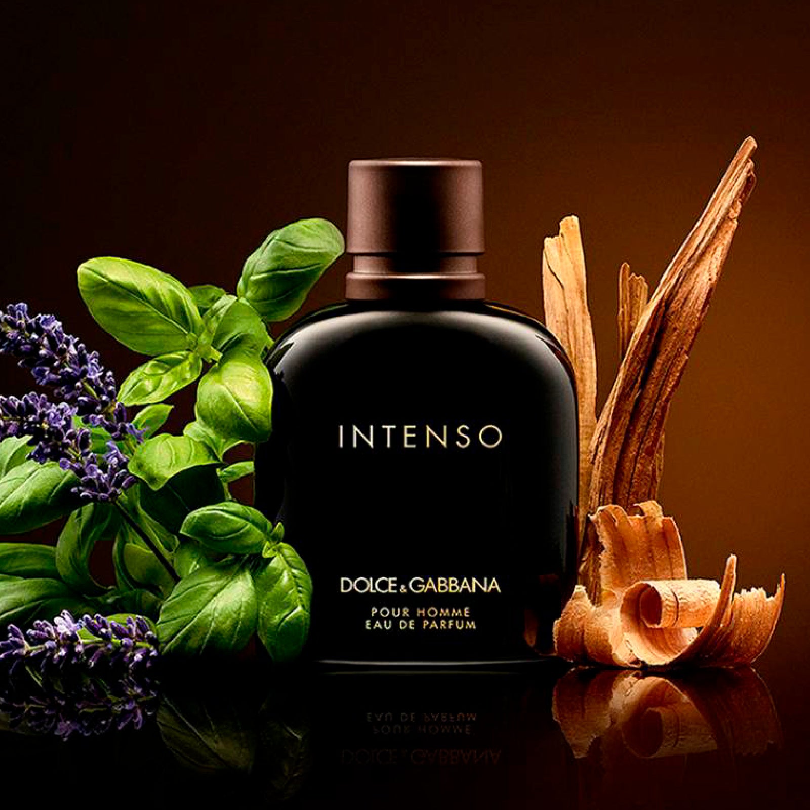 Dolce Gabbana Intenso 4.2 Edp M