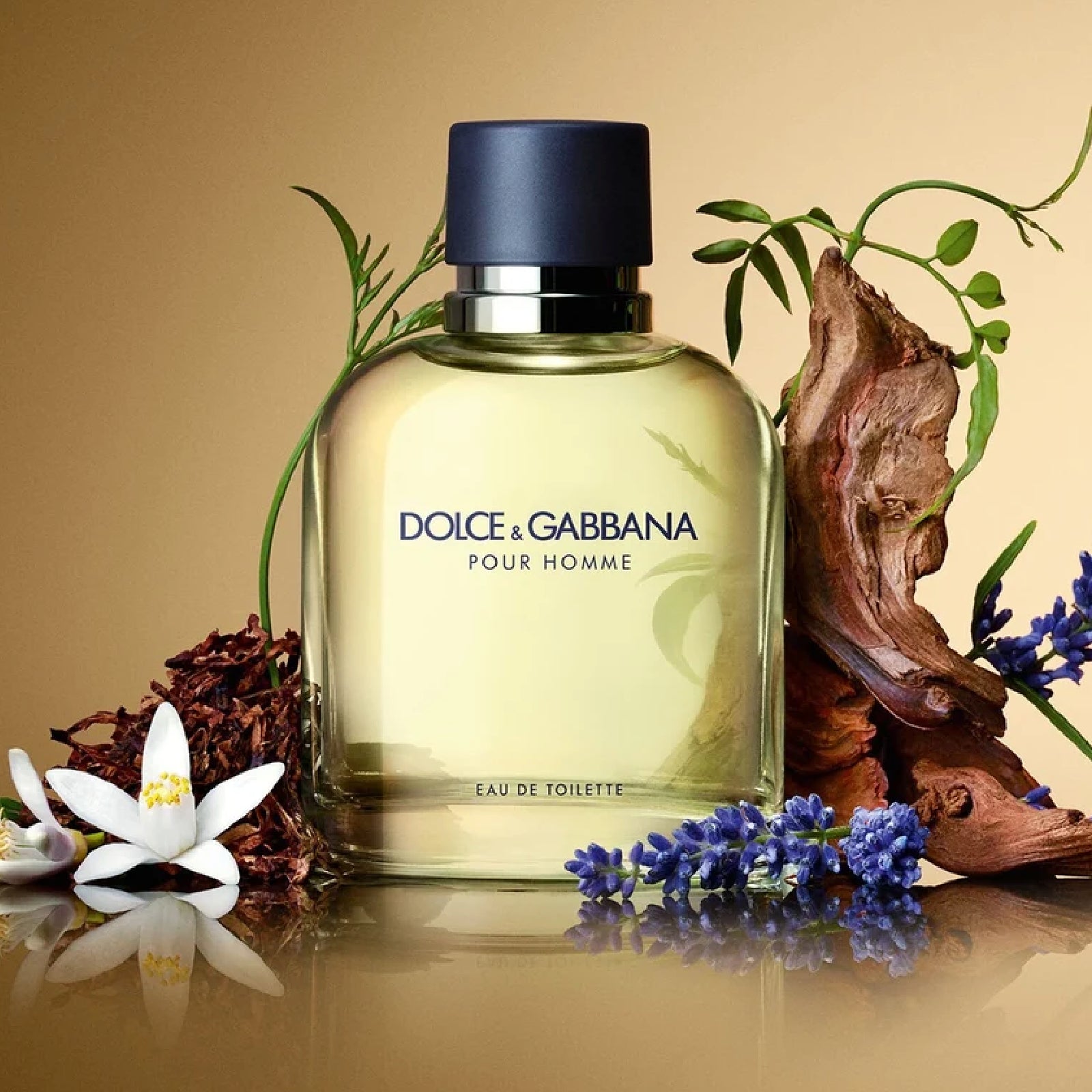Dolce Gabbana Pour Homme 4.2 Edt M