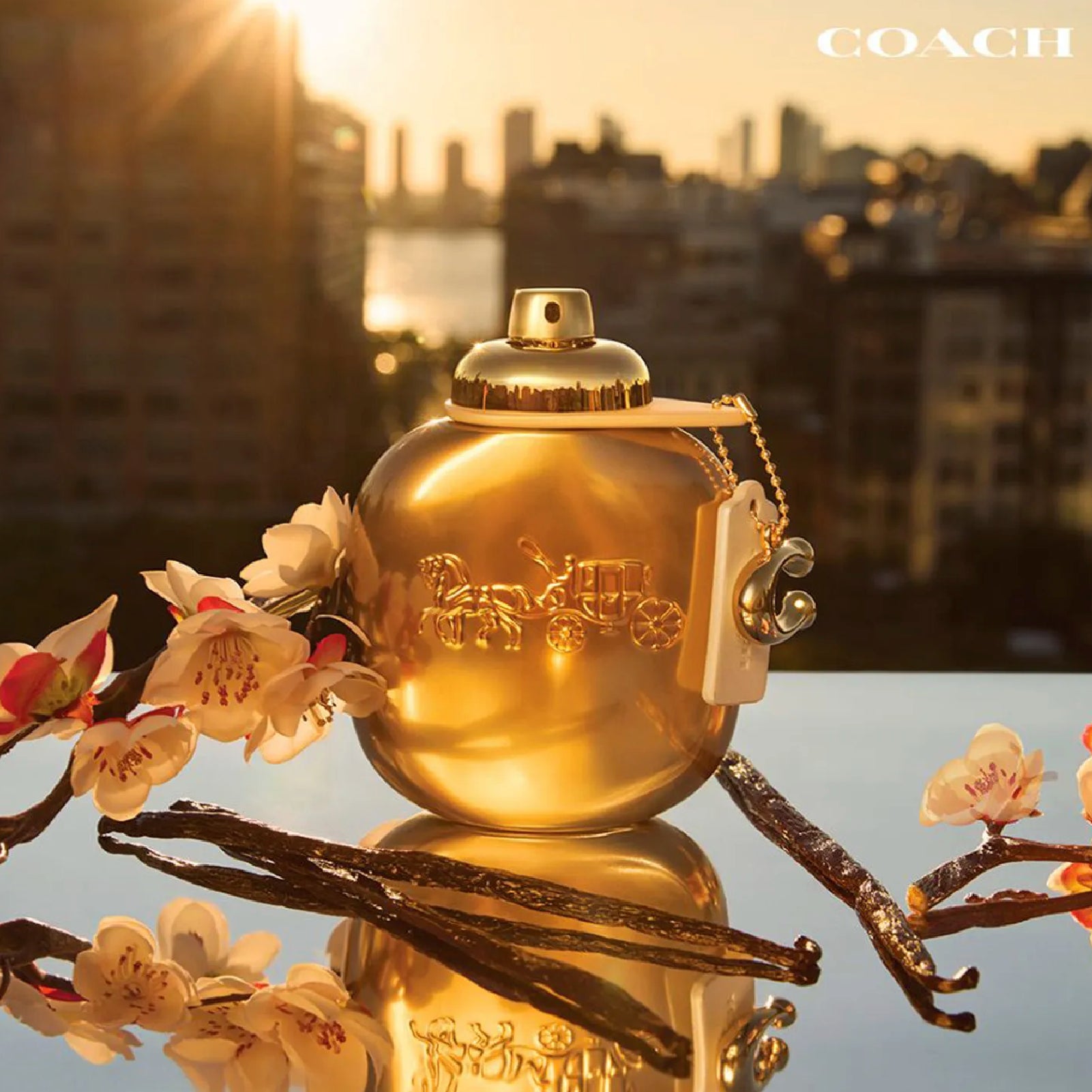 Coach Gold Parfum 3.0 Edp L