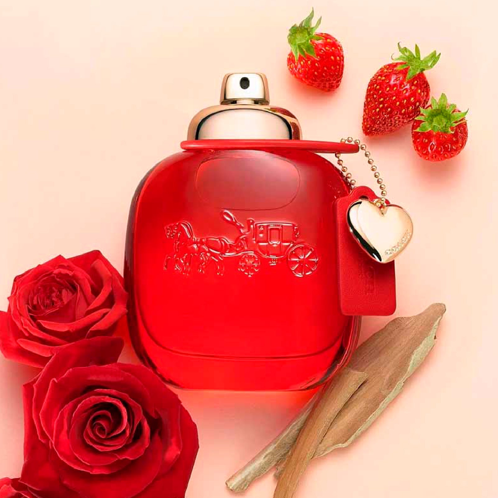 Coach Love 3.4 Edp L