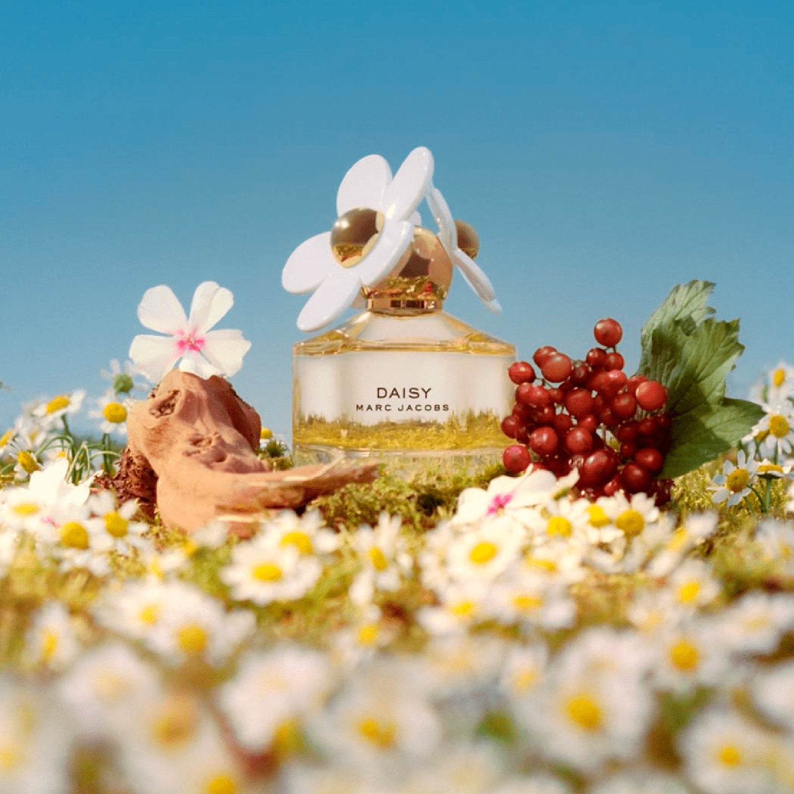 Marc Jacobs Travel Set Daisy 2pcs 3.3 Edt L